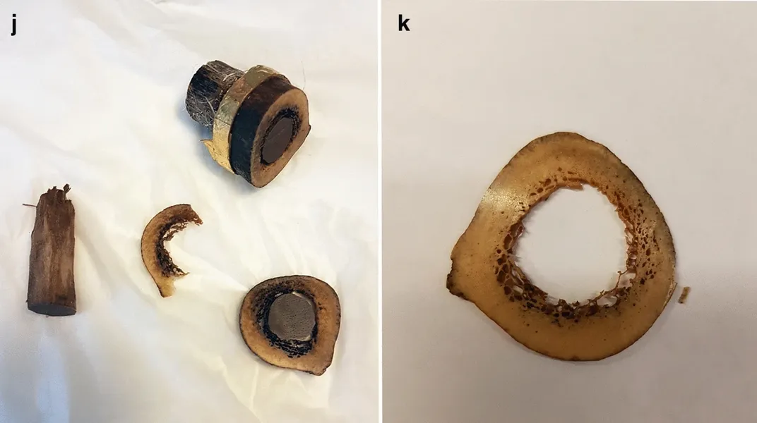 Femur fragments purported to belong to St. James the Younger