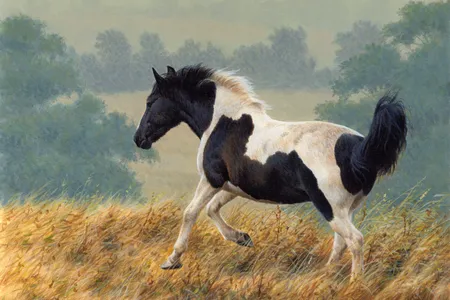 A piebald horse is usually called a pinto or paint in the U.S.