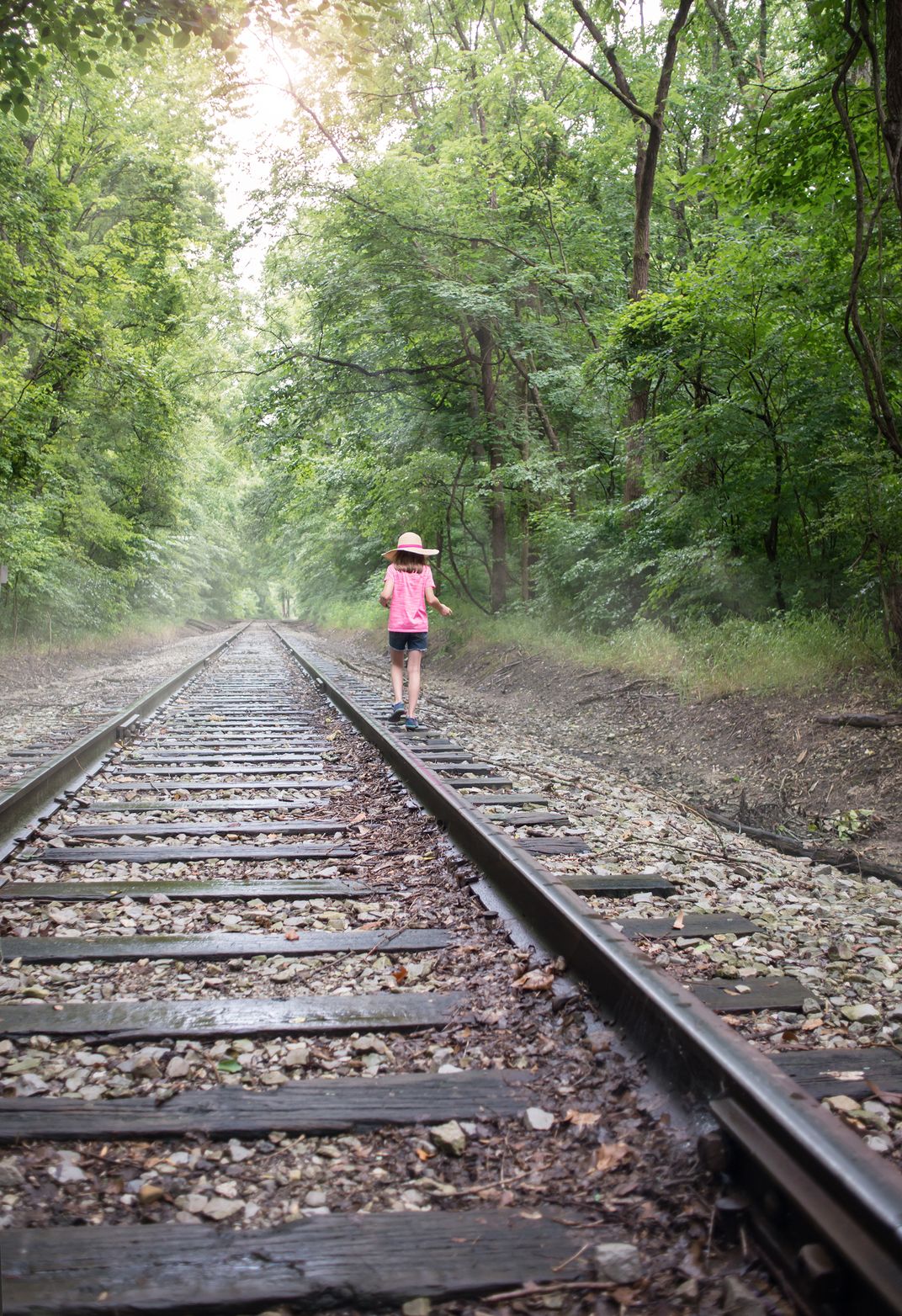Exploring misty railroad tracks. | Smithsonian Photo Contest ...