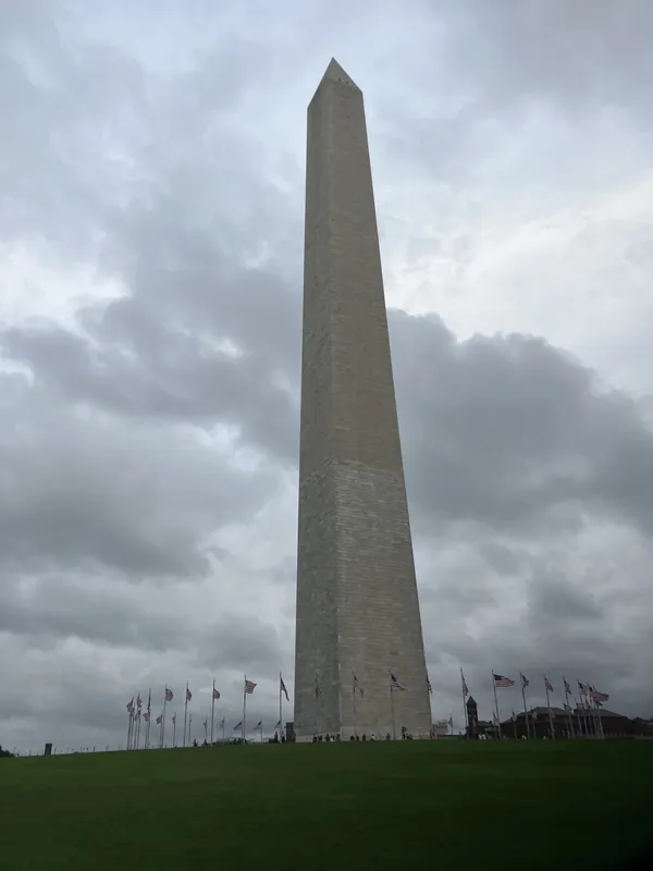 Standing Tall thumbnail