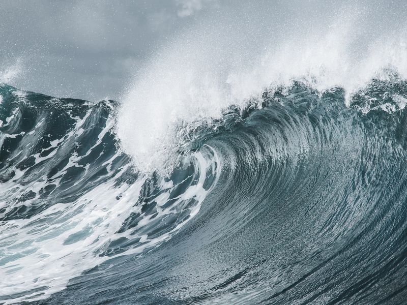 La Vague Smithsonian Photo Contest Smithsonian Magazine