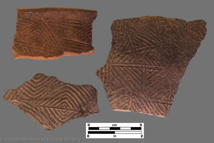 Pottery fragments from Etowah in Georgia, where people of the Mississippian culture built large earthen mounds