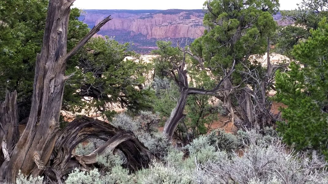 The Tsegi Canyon, Navajo National Monument, Shonto, Arizona