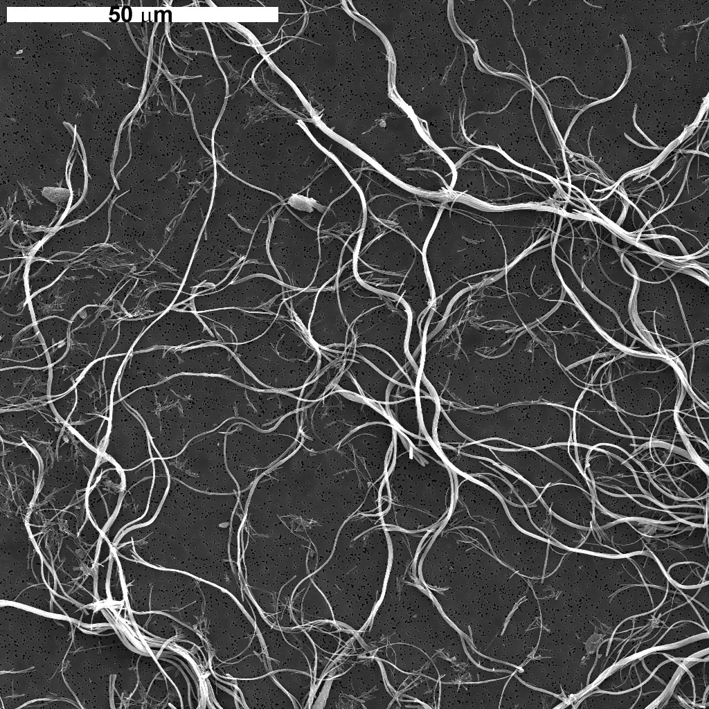 Magnified, gray and white asbestos minerals