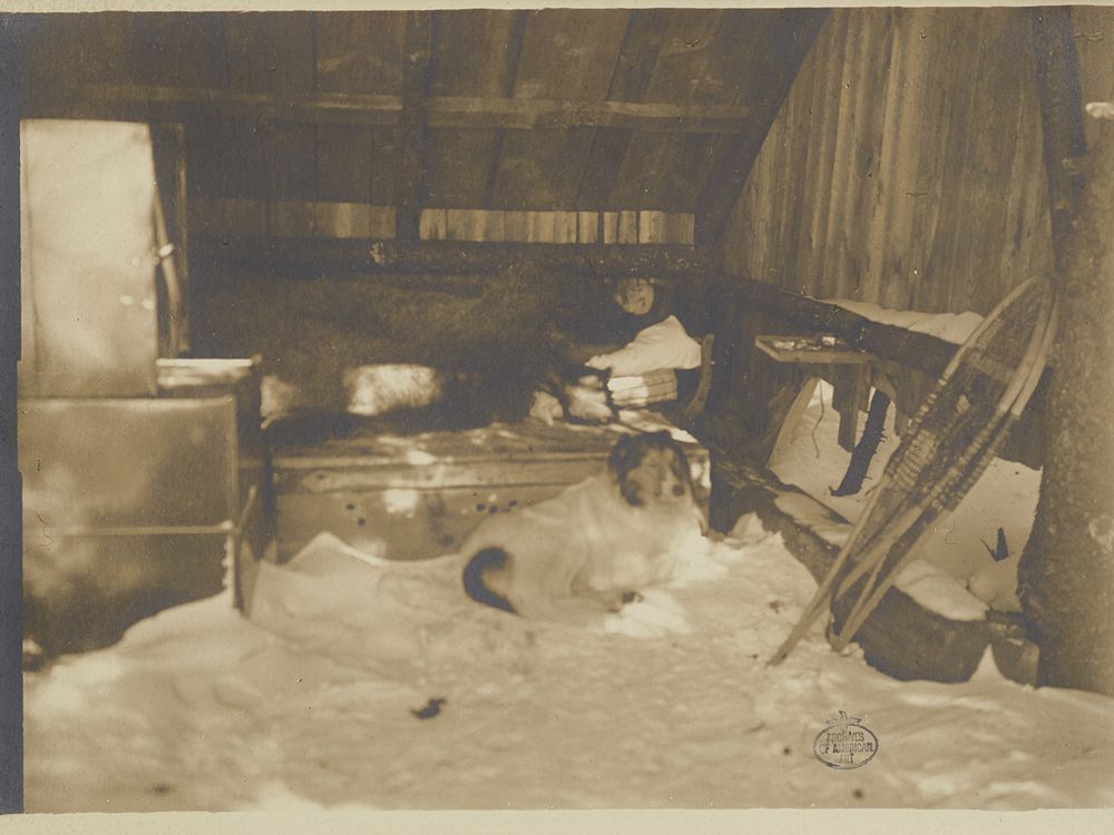 Abbott Thayer in his sleeping hut with his dog Hauskuld, circa 1903 / unidentified photographer. Nelson and Henry C. White research material, Archives of American Art, Smithsonian Institution.