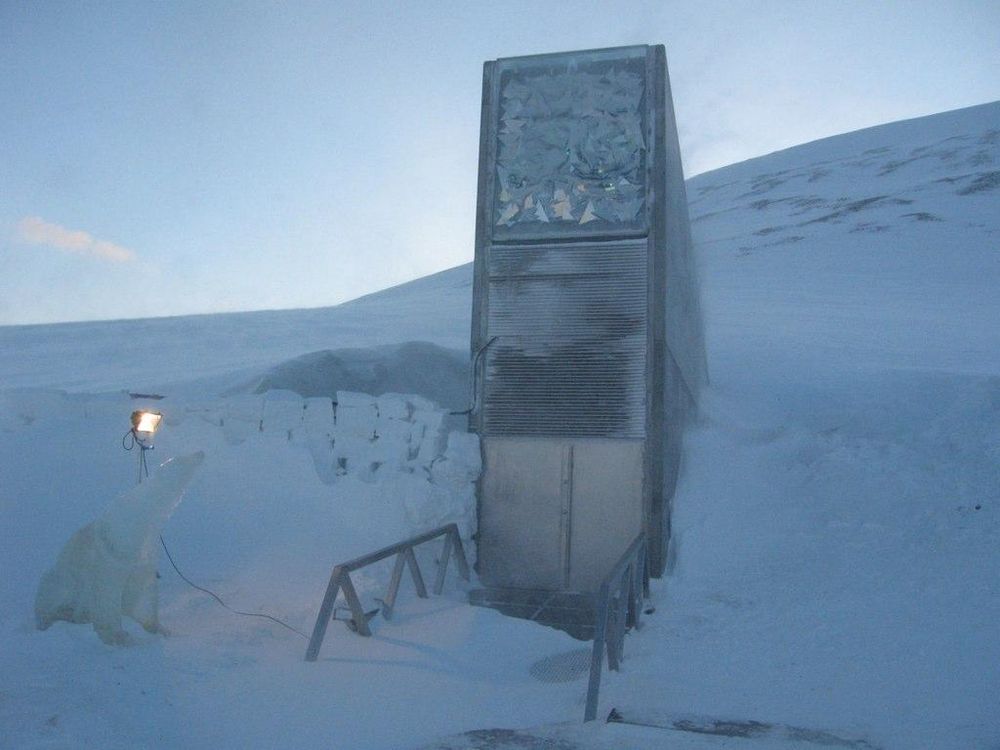 Seed Vault