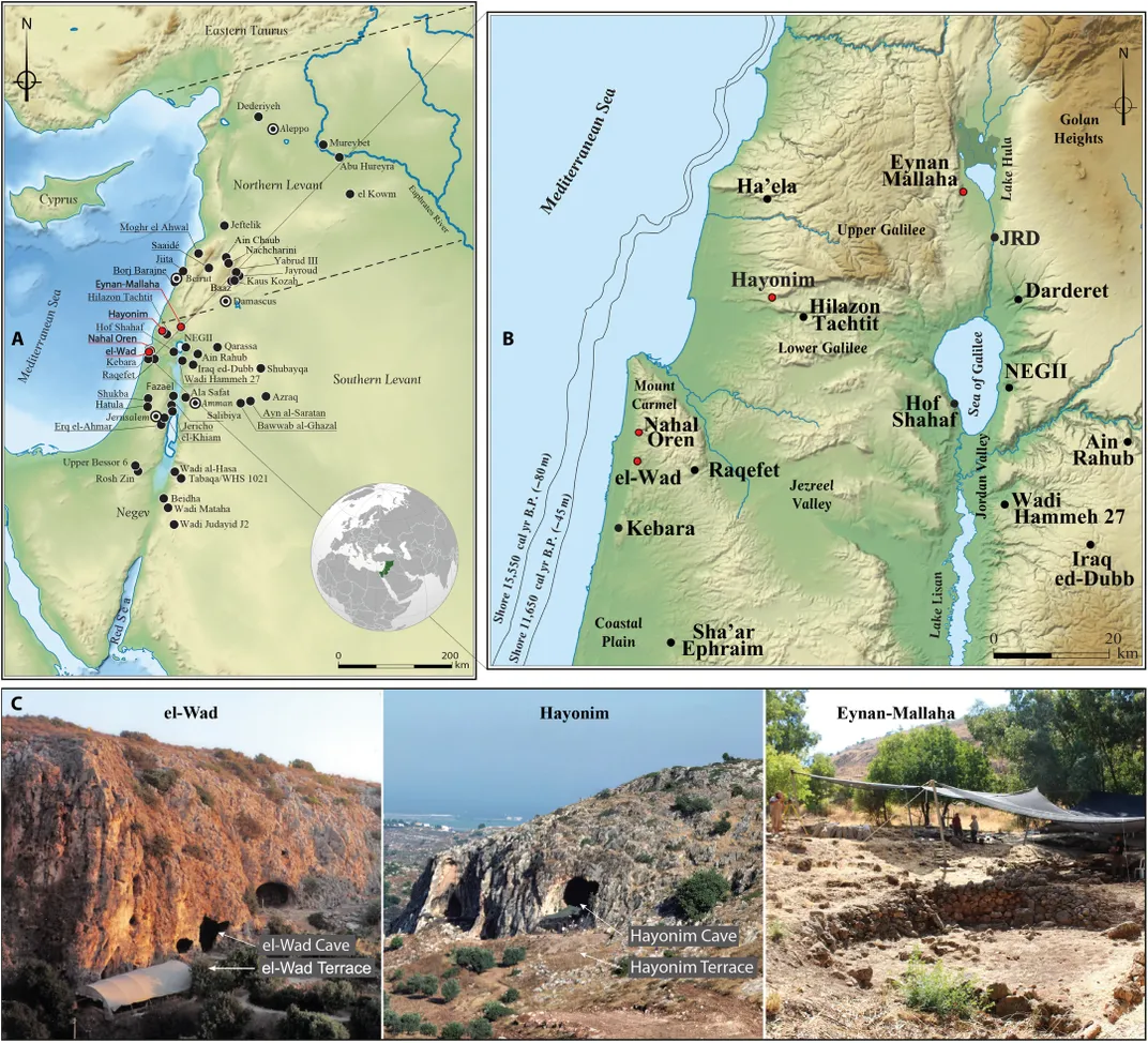 sites