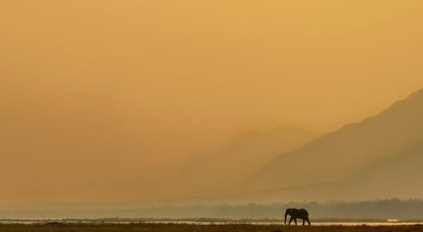 Zambezi Sunset thumbnail