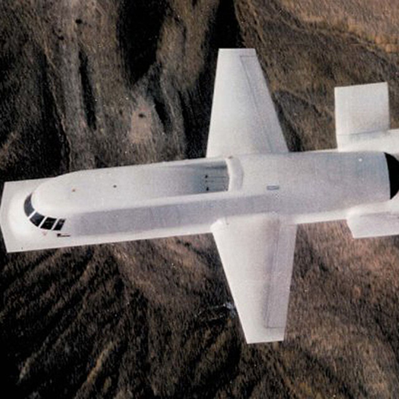 ミュージシャン STEALTH STELL'A MOTH EATEN-TANK WHITE STEALTH STELL'A MOTH EATEN-TANK WHITE ミュージシャン