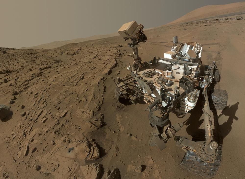 Curiosity Selfie - 1100.jpg