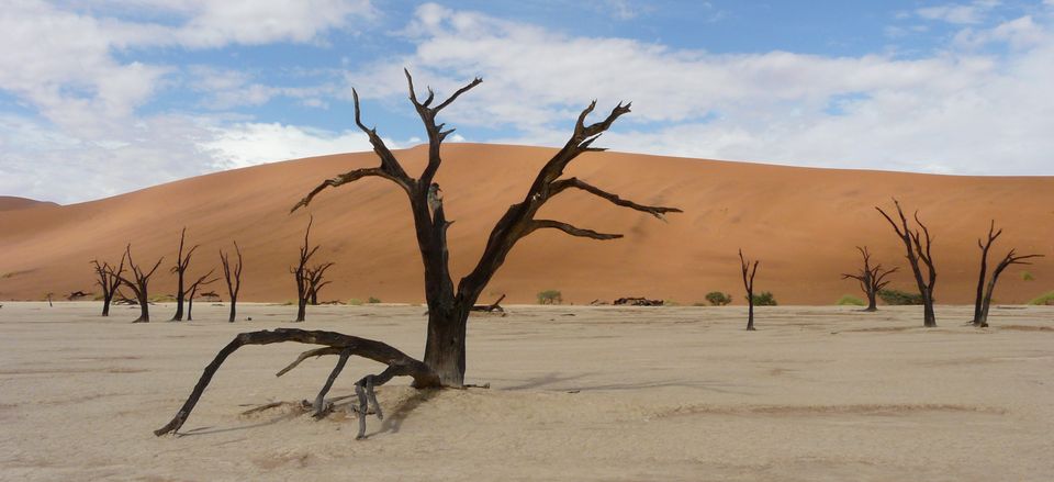  The sand dunes of Deadvlei, Namibia. 