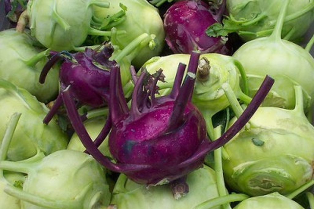 20110520090156kohlrabi-by-lawrence-farmers-market-400x333.jpg