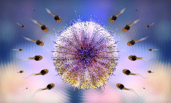 Eternal call... thumbnail