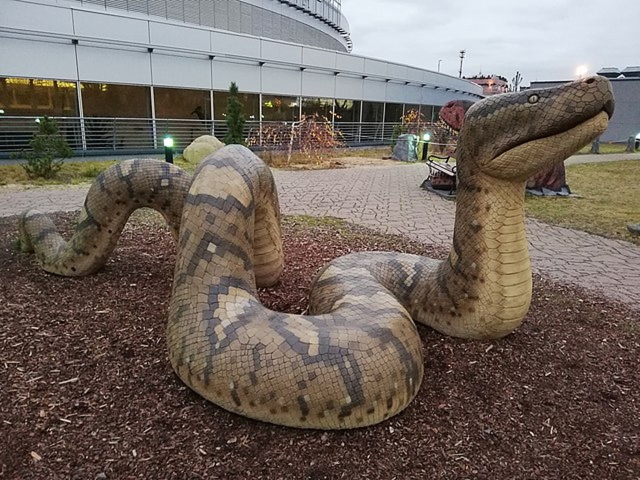 Titanoboa Monster Snake Alive