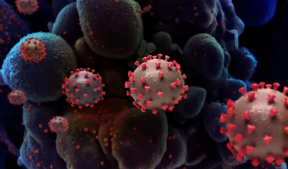 An artistic representation of SARS-CoV-2, the virus that causes COVID-19. (NIAID)