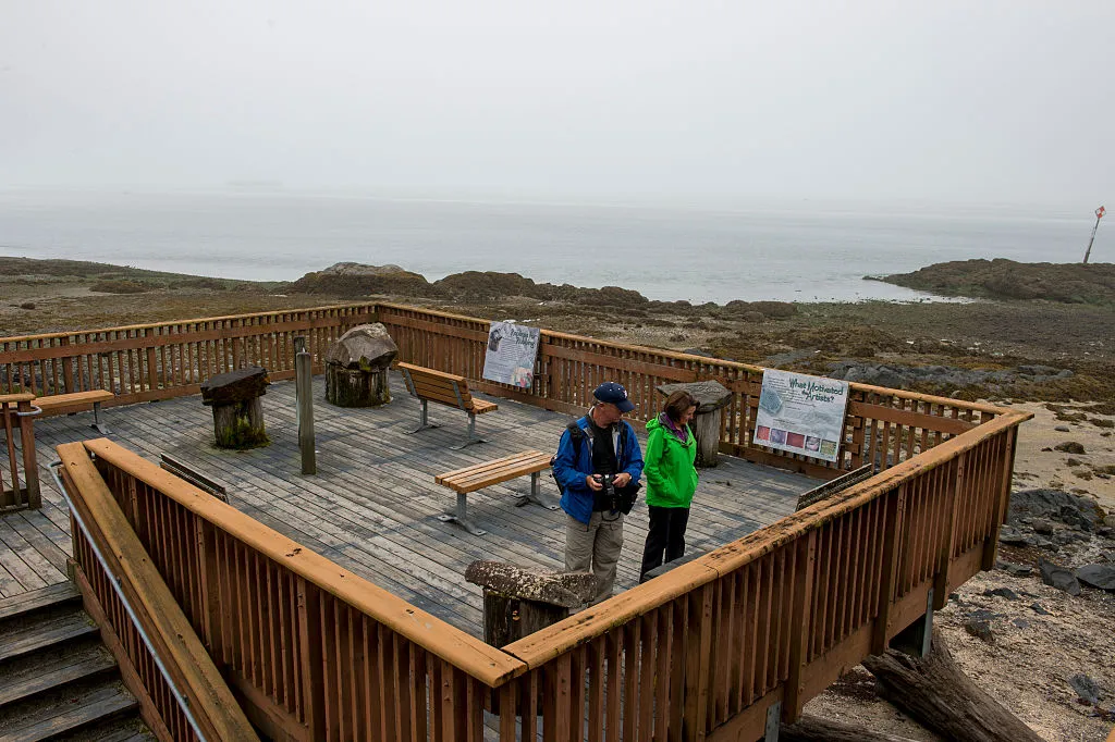 Petroglyph Beach State Historic Park