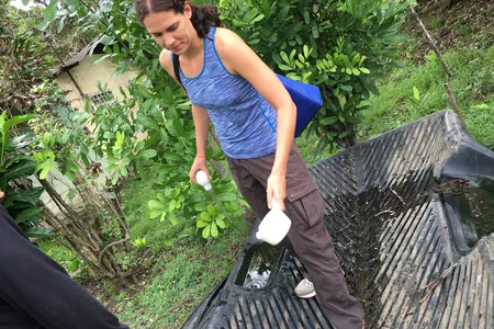 Mosquito researcher Kelly Bennett, turkey baster in hand, is on the prowl, collecting specimens for study