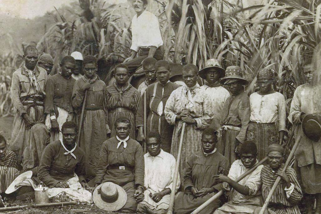 Australian South Sea Islander women laborers on a sugarcane plantation near Cairns, Queensland, about 1895