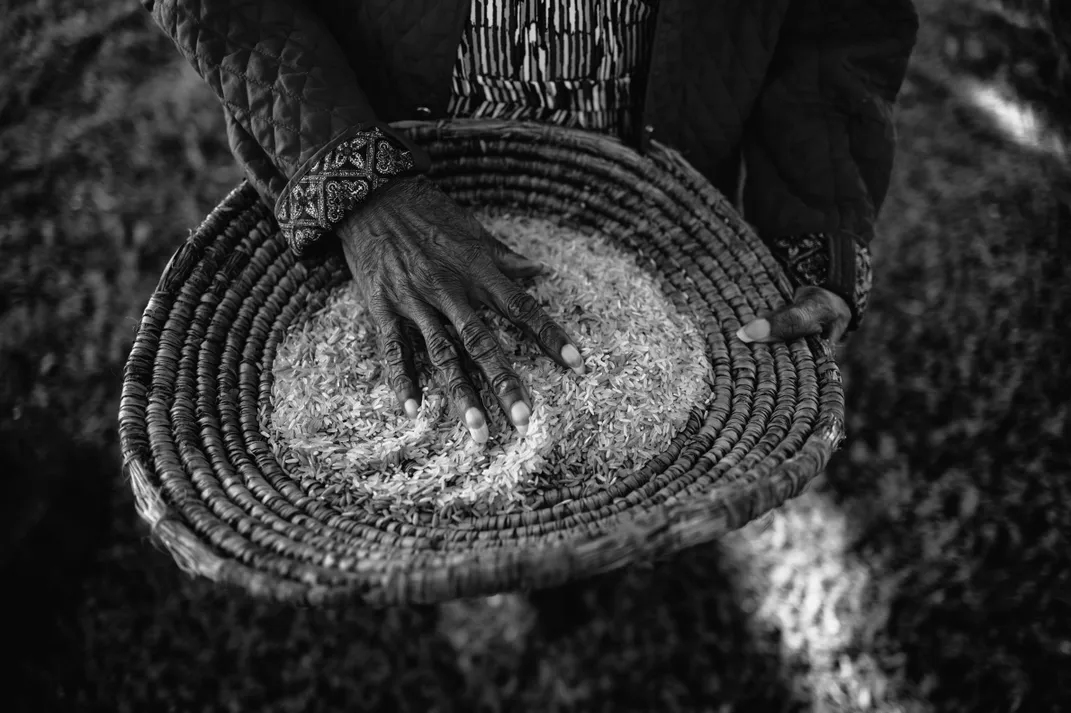 Wide, coiled sweetgrass fanners were used to winnow rice, which involved pounding and tossing it from one basket to another to separate the grains from the husks and chaff. Today, these hand-woven items are popular in markets throughout the Lowcountry.