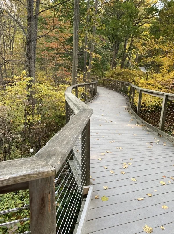 Follow the path thumbnail