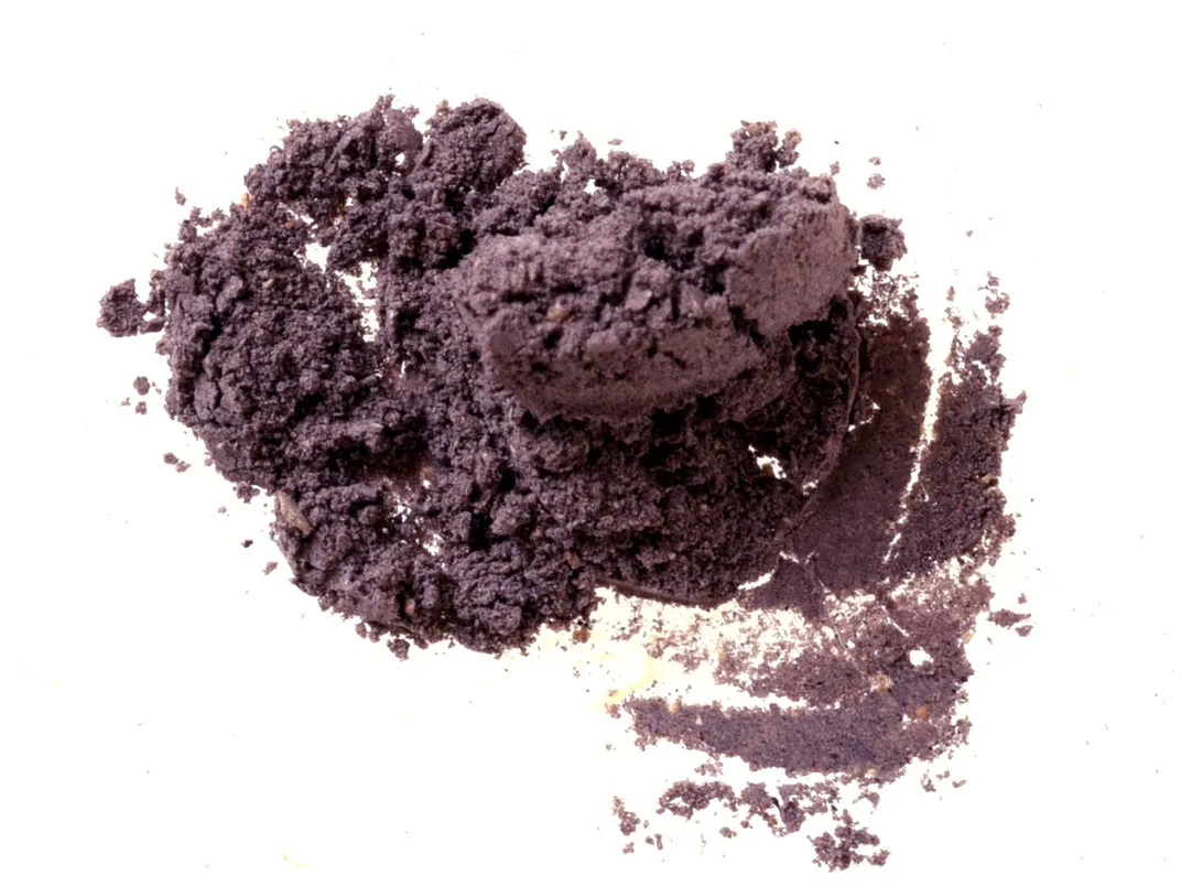 pigment