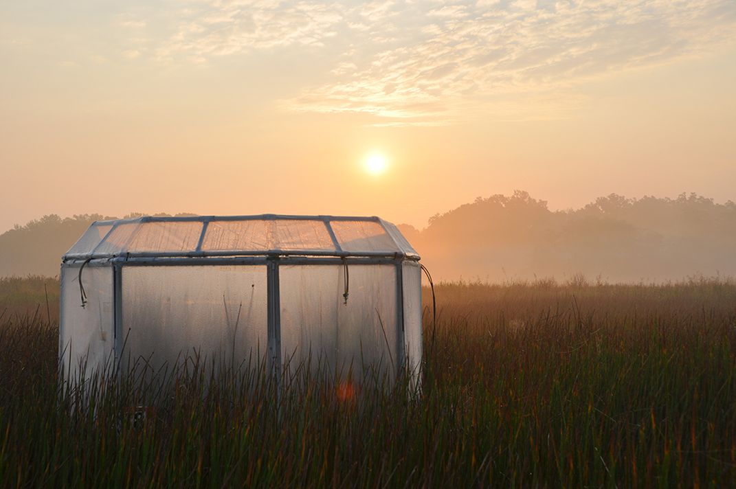 SERC Marsh, Sunset