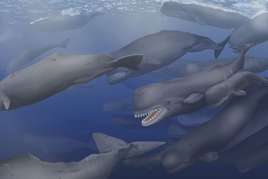 Reconstruction