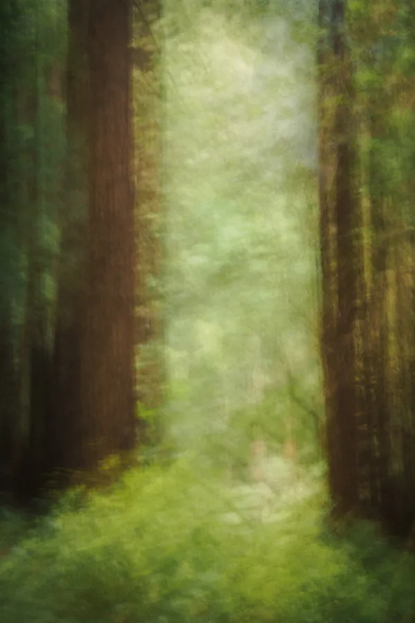 Untitled_060125-1535 thumbnail