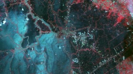 A false-color image of flooding in Bangkok, Thailand