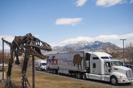 A FedEx truck carrying the Wankel T. rex skeleton departed Bozeman, Montana, on Friday for the National Museum of Natural History in Washington, D.C. A bronze cast of the 65-million-year-old skeleton outside the Museum of the Rockies looks on in the foreground.