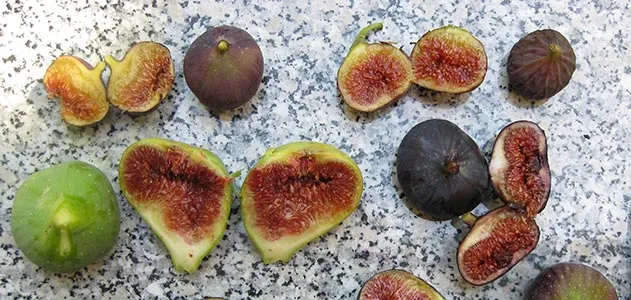 Figs