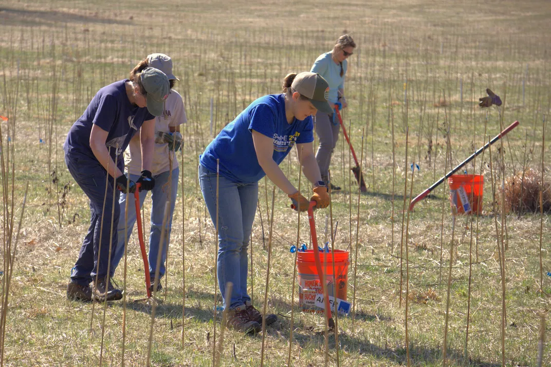 The Planet Needs Prosperous Forests. These Scientists Are Planting More Than 33,000 Trees to Find the Perfect Species Blends