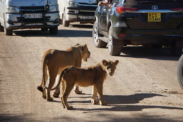 How can I Escape the Spectacle thumbnail