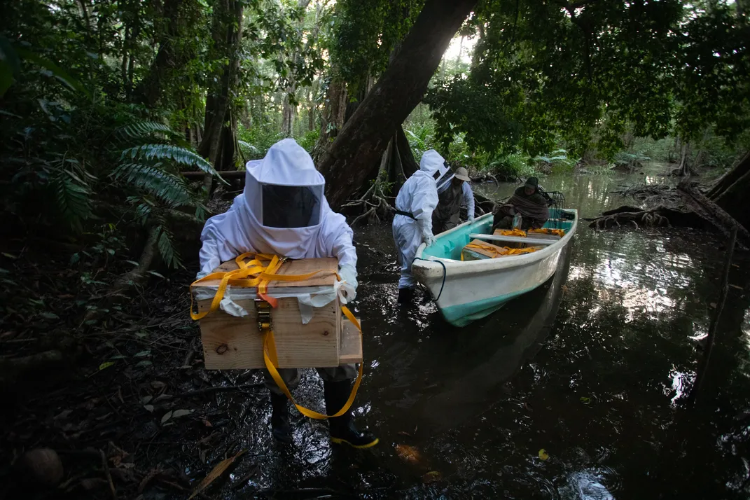 people in beekeepers outfits get out of a small boat and carry a beehive in a wooden box