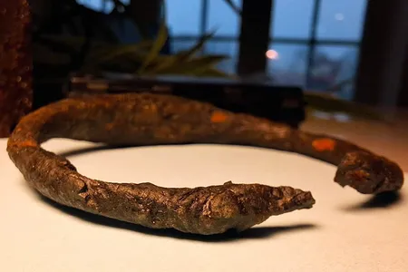 An unidentified man found the armlet in a wetland last fall.