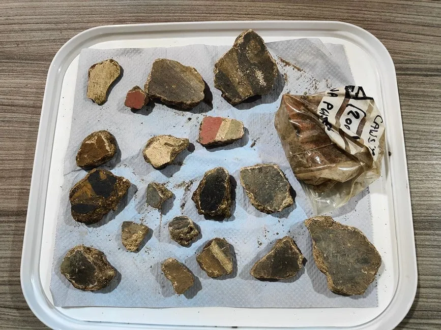 Plaster fragments