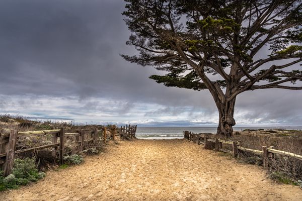 The Way To Monterey Bay thumbnail