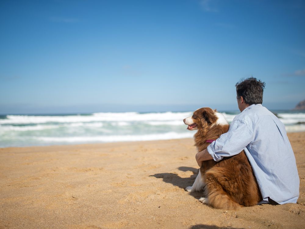 Man and dog on the beach