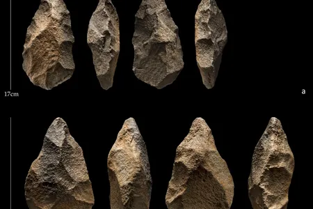 Hand axes from the site of Saffaqah, Saudi Arabia.