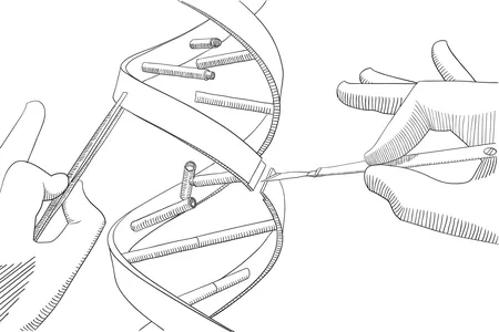 Unlike classic CRISPR-based editing, which fully cleaves DNA in two, prime editing starts with a cut to only one strand of the double helix.
