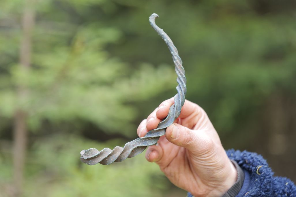 A white hand holds a spiraled, curved object, which looks as though it has been broken in half, in front of green trees