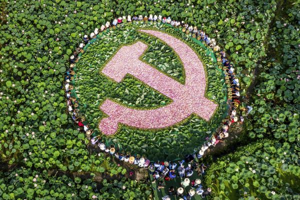 Hundreds of lotus farmers are grateful to the Communist Party thumbnail