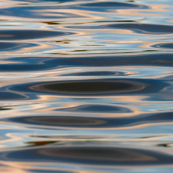 The Shape of Water thumbnail