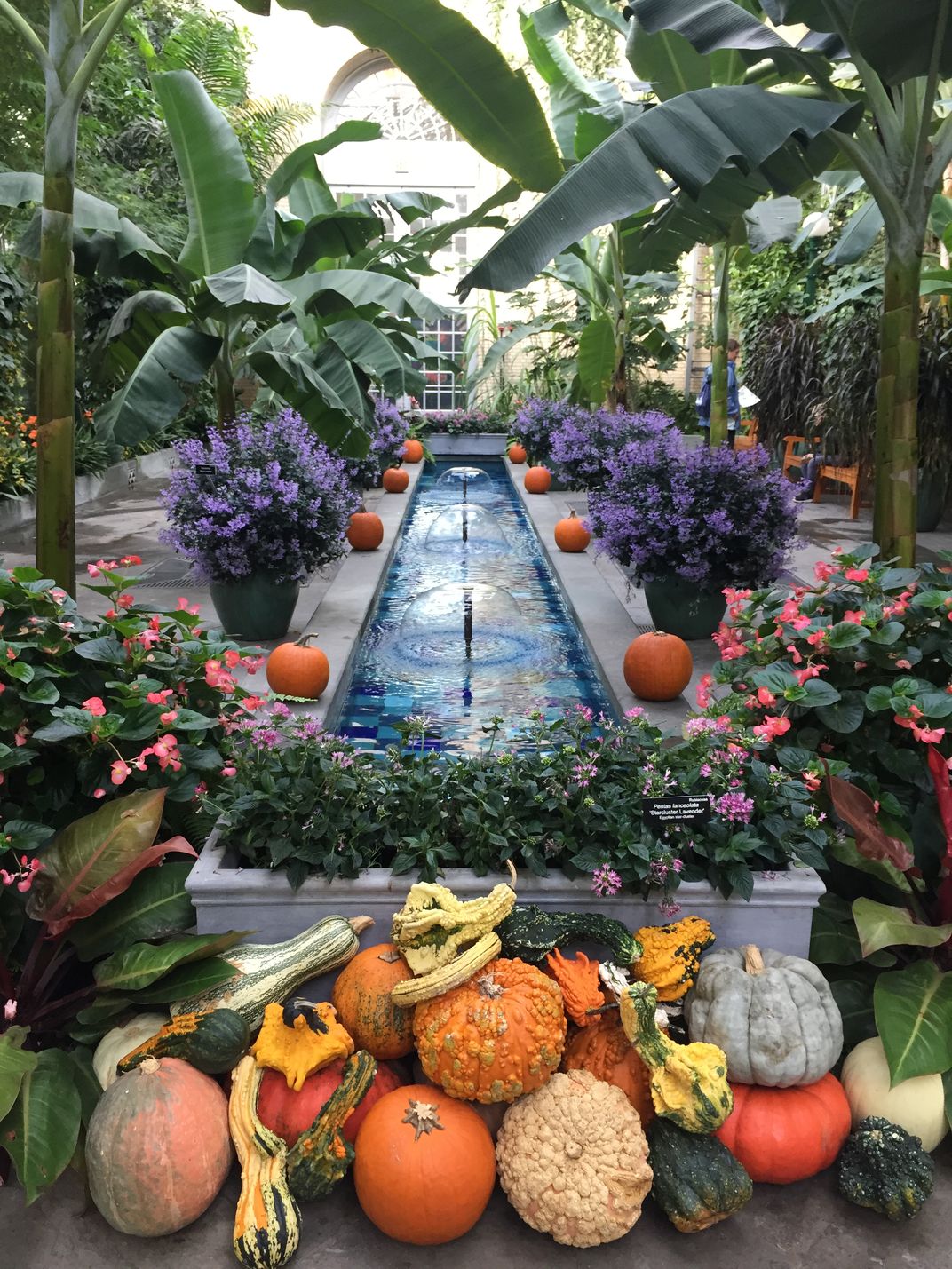 Fall morning at the DC Botanical Garden Smithsonian Photo Contest