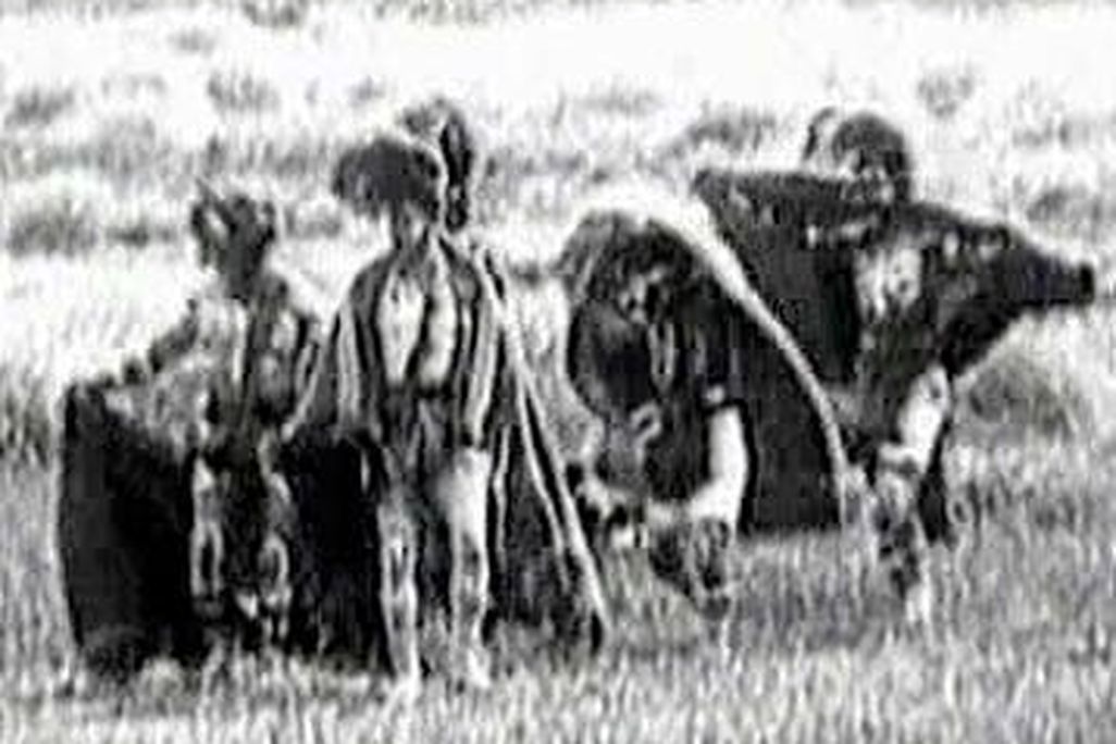 Chiloé’s murderous society