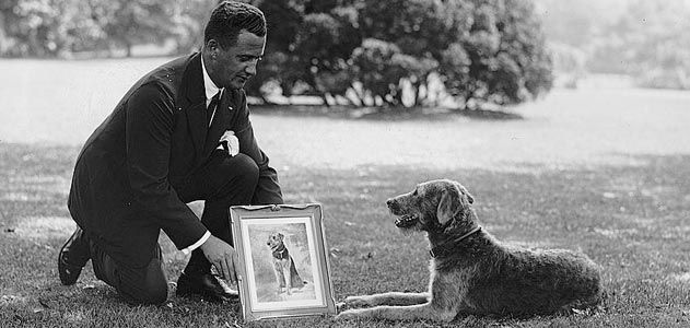 Laddie Boy with silver portrait