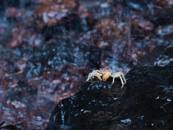 Under the waterfall thumbnail