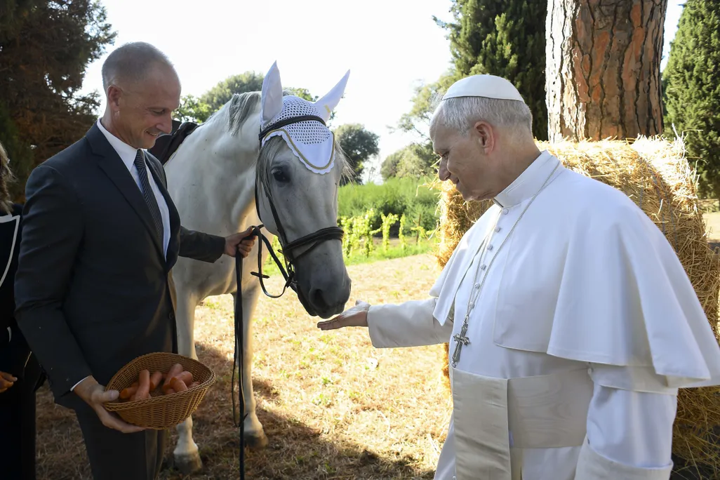 Man in papal clothing feeding a white horse a carrot
