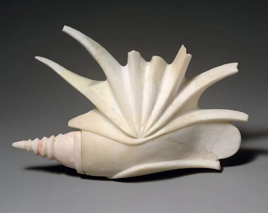 conch