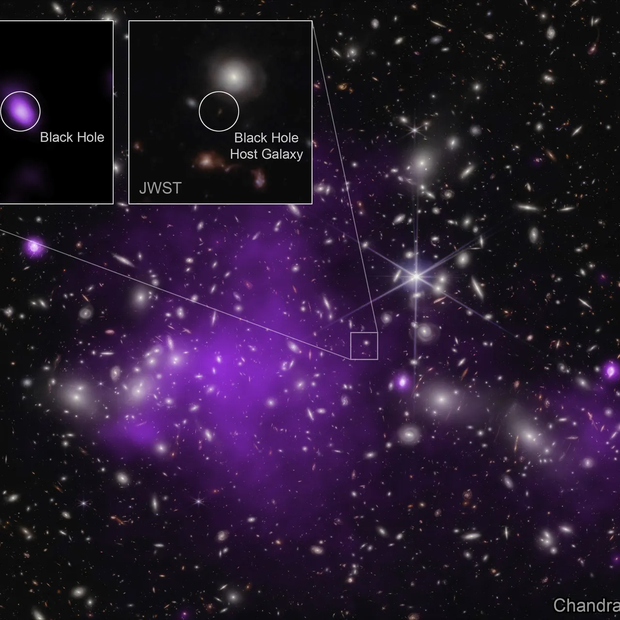 Black Holes In The Early Universe